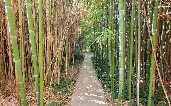 Maison à vendre    8 pièces • 283 m2 Manosque