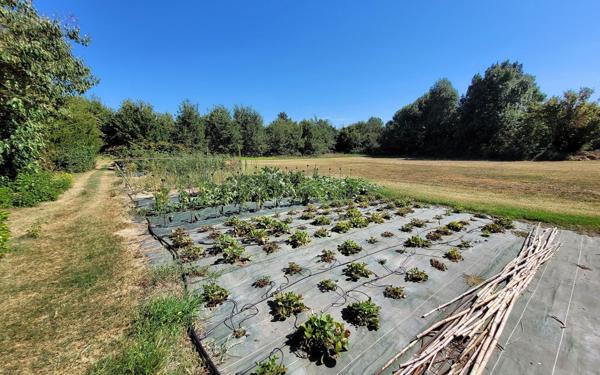 Maison à vendre    8 pièces • 283 m2 Manosque