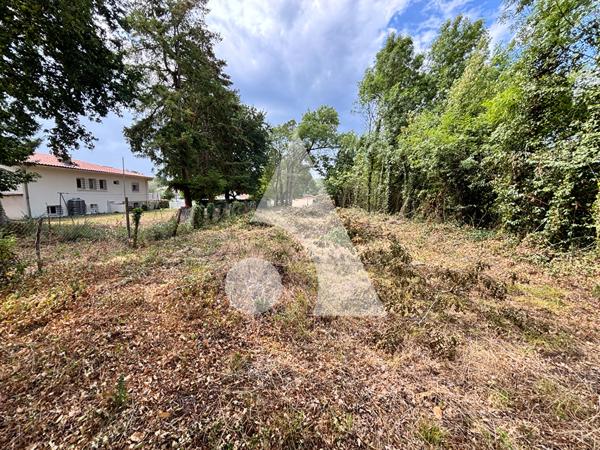 Terrain 2335 m2