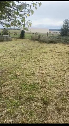 Gron (89100) A GRON, à vendre joli terrain de 905 m²