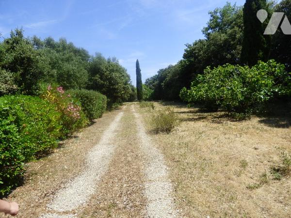 Une maison plain pied proche centre de GRIGNAN,7700m2 de terrain arboré. accès par chemin communal