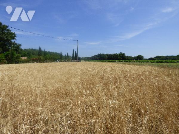Une maison plain pied proche centre de GRIGNAN,7700m2 de terrain arboré. accès par chemin communal