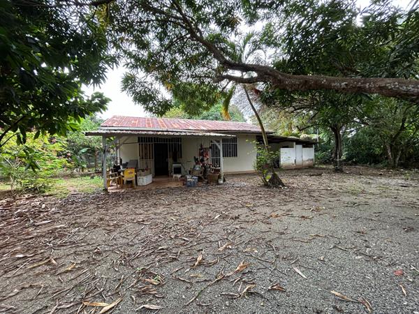 Achat maison Cayenne - 10 pièce(s) - 417 m² - 460 000 €