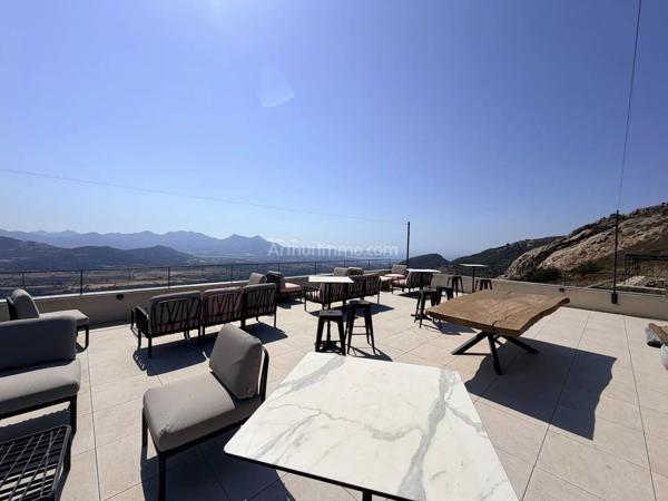 Vente                                                      Maison
                        
                     7 pièces                      196 m2                     à Montegrosso
