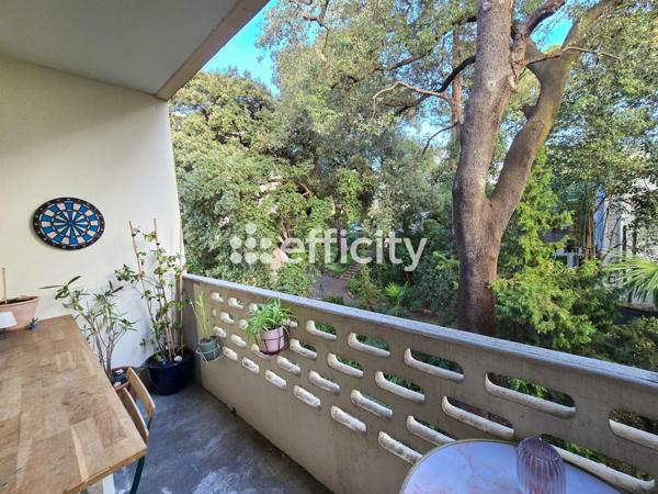 Appartement 4 pièces - 67 m² Exclusivité efficity