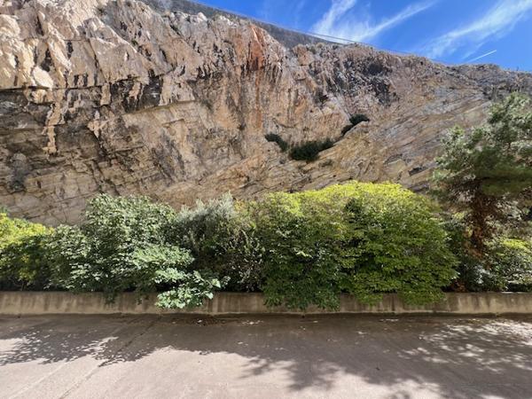 Marseille (13007) VENTE CHAMBRE 15,50 M2 CARREZ 2ÈME ÈTAGE ASCENSEUR RES LE GALION BD AUGUSTIN CIEUSSA 13007 MARSEILLE