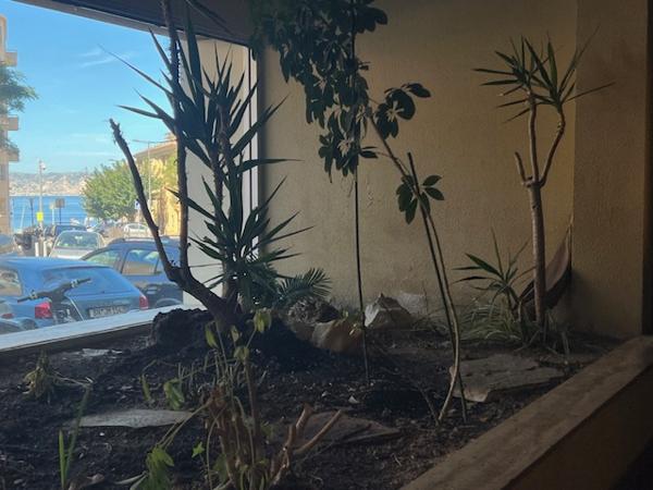 Marseille (13007) VENTE CHAMBRE 15,50 M2 CARREZ 2ÈME ÈTAGE ASCENSEUR RES LE GALION BD AUGUSTIN CIEUSSA 13007 MARSEILLE