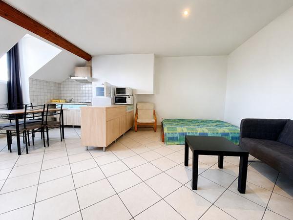 Appartement GRENOBLE 32.91 m²