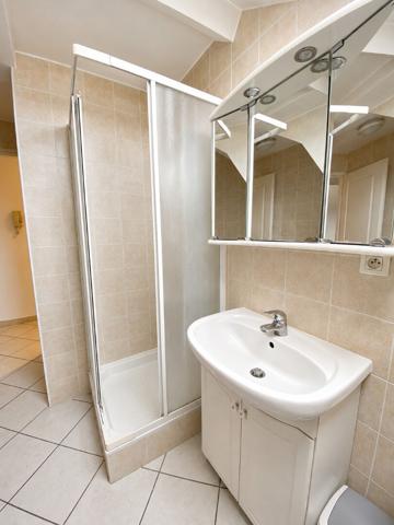 Appartement GRENOBLE 32.91 m²