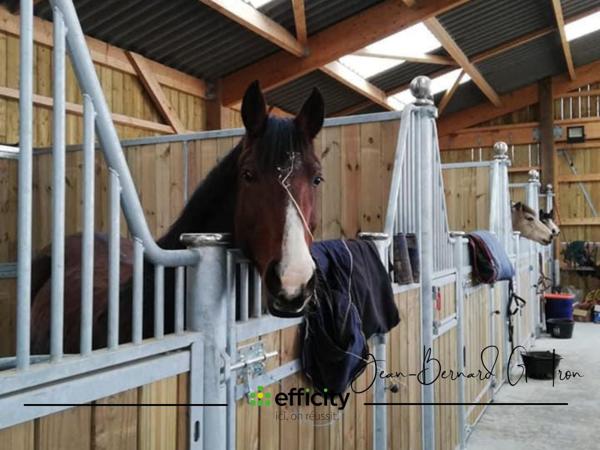 Maison 5 pièces - 134 m² Bien prestige