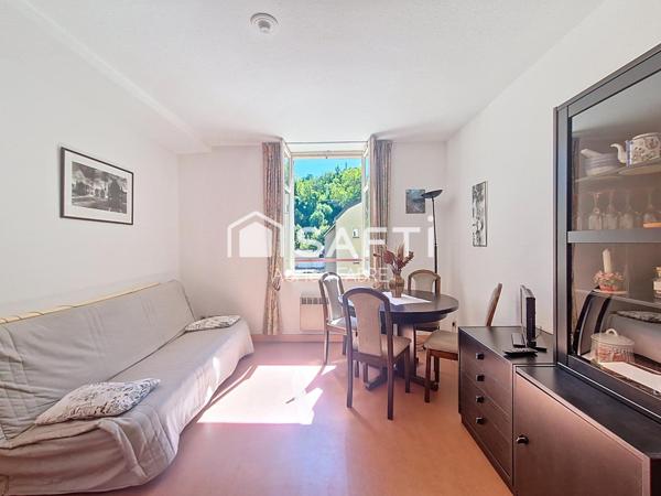 Appartement T2 à vendre 30m², meublé, cave, centre-ville Ax les thermes.