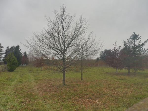 Terrain Chaumont Sur Tharonne 2993 m2