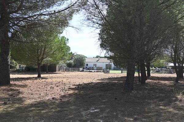 Villa de plain-pied avec piscine et grand terrain arboré à Villemoustaussou