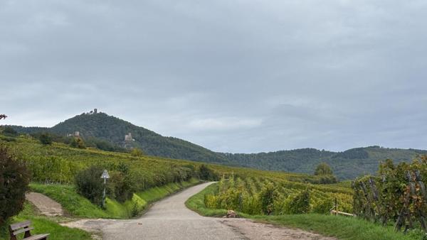 Appartement Hunawihr 3 pièce(s) 86.7 m2