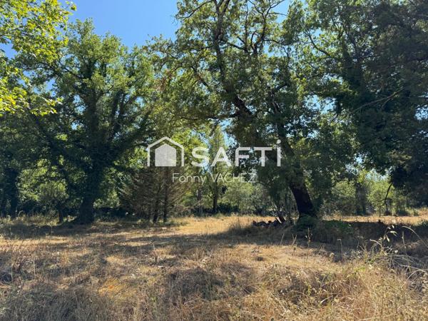 Terrain à bâtir 1500m2 à TOURRETTES (83440)