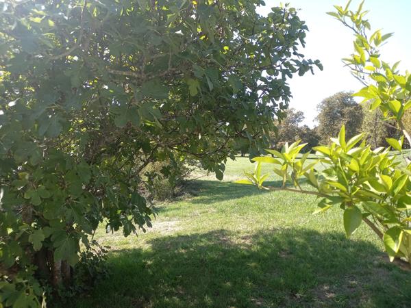 Saint-Aigulin (17360) aux portes de la Gironde et de la Dordogne