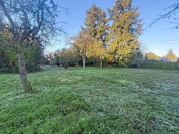 À vendre - Terrain projet construction 1025 m² situé à Saint-Avertin (37550)