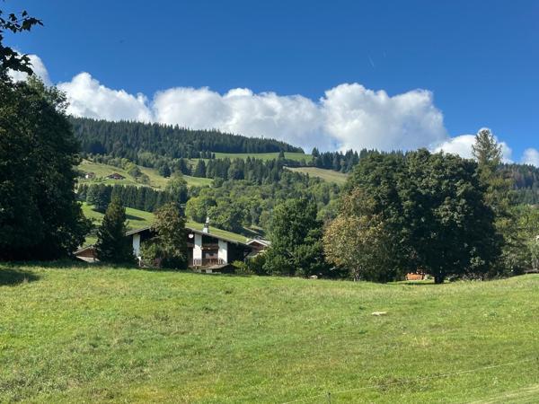 Volumes - environnement