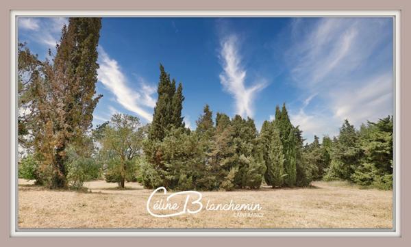 Propriete à vendre 32 pièces proche de CARCASSONNE (11) 2 habitations 522m2+ parc 2,82 hectares + dépendances