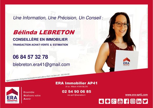 Maison à vendre T9 - BLOIS - Proche gare, demeure familiale avec jardin, vue sur Loire, remises et dépendance