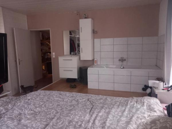 ensemble immobilier à saisir au creux de l'enfer (un T6 habitable, un grand t2 à restaurer, 2 caves , un garage et possibilités supplémentaires