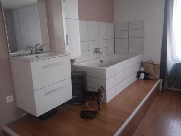 ensemble immobilier à saisir au creux de l'enfer (un T6 habitable, un grand t2 à restaurer, 2 caves , un garage et possibilités supplémentaires