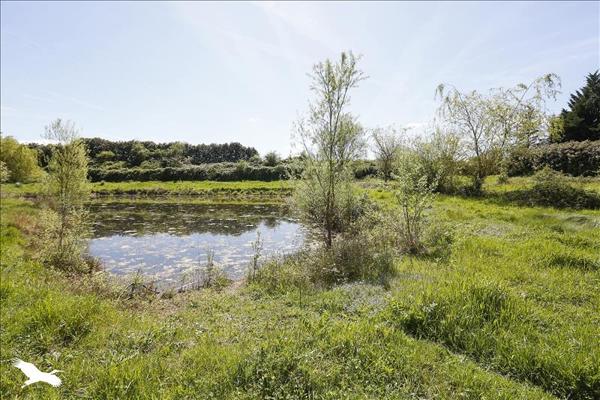 Maison à vendre |  Joué-lès-Tours |  5 pièces | 175 m²