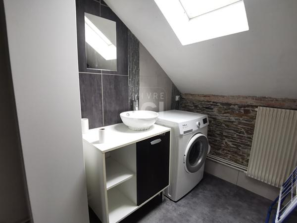 Appartement meublé Centre Angers 2 pièce(s) 58.56 m2 + cave