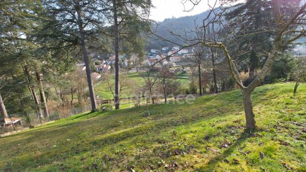 Maison plain-pied 90 m² – Terrain 2400 m² – Piscine – Sous-sol complet – Vue dégagée – Aurec-sur-Loire