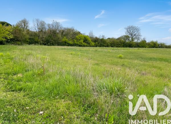 Terrain à vendre 1 872 m² Lafox