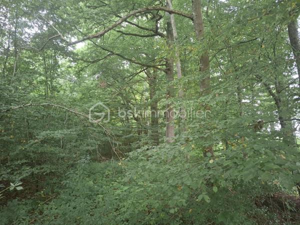 Terrain de loisirs de 37 590 m²