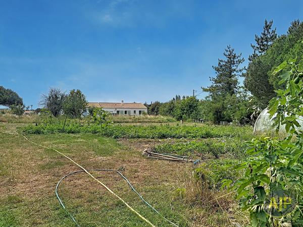 Vente terrain Les Sables D Olonne : 783 000 € - AJP Immobilier Les Sables-d'Olonne