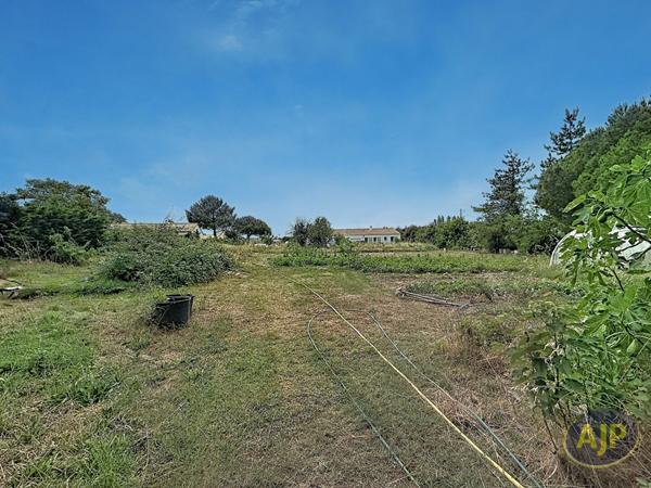 Vente terrain Les Sables D Olonne : 783 000 € - AJP Immobilier Les Sables-d'Olonne