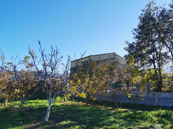 Mas en pleine nature