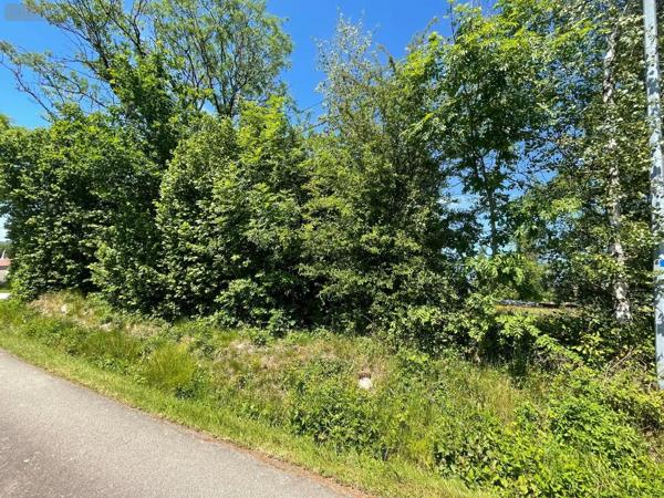 Achat - Terrain à bâtir | Terrain à bâtir La Chapelle-aux-Bois 88240 800 m 2 800 m 2