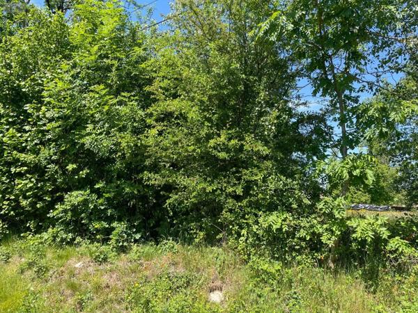 Achat - Terrain à bâtir | Terrain à bâtir La Chapelle-aux-Bois 88240 800 m 2 800 m 2