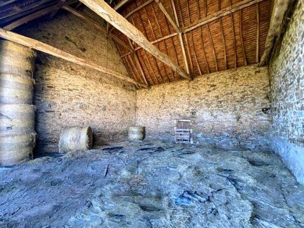 Corps de ferme en pierre 100 m2