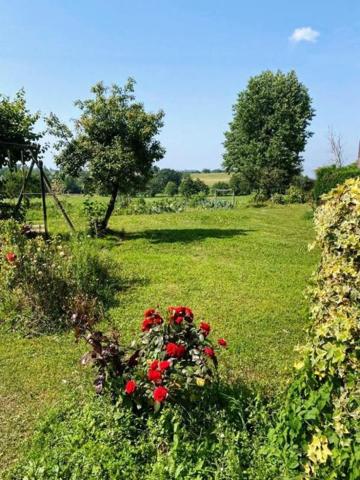 Corps de ferme en pierre 100 m2