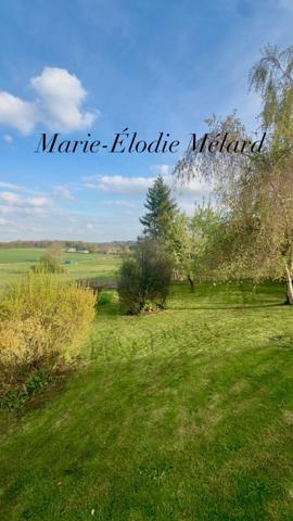 Plain-pied contemporain de 156 m² avec garage de 80 m²implanté sur terrain 16,13 ares