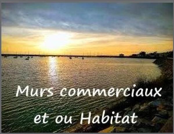 Opportunité : local commercial à usage mixte ou habitation