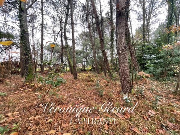 Terrain de plus de 3700 M² à vendre à SAINT SAVIN