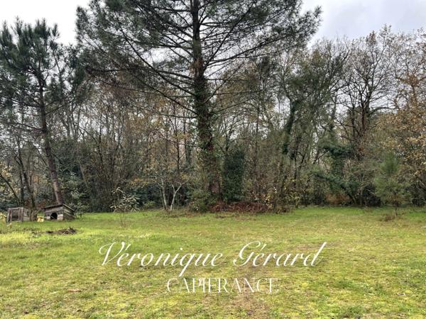 Terrain de plus de 3700 M² à vendre à SAINT SAVIN
