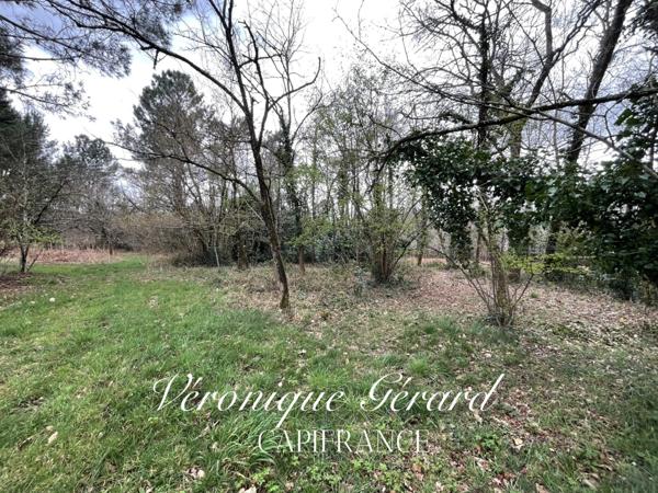 Terrain de plus de 3700 M² à vendre à SAINT SAVIN