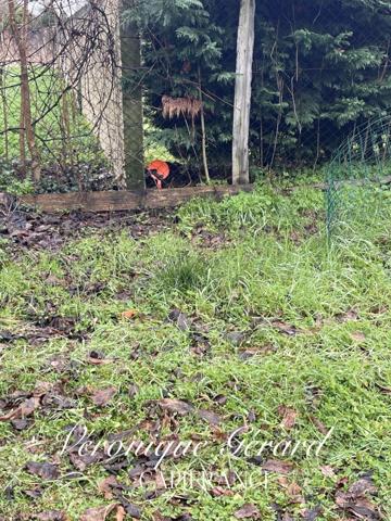 Terrain de plus de 3700 M² à vendre à SAINT SAVIN