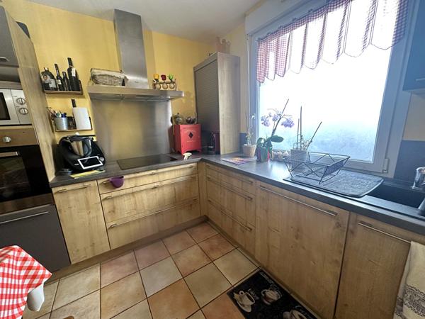 Appartement T4 DUPLEX TERRASSE, JARDIN, BALCON, VILLEURBANNE GRATTE-CIEL