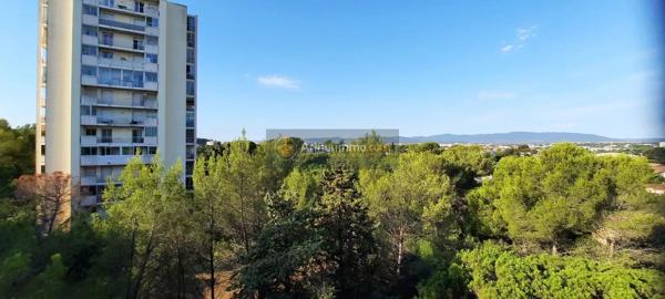 Location                                                      Appartement
                        
                     3 pièces                                         à Saint-Raphaël