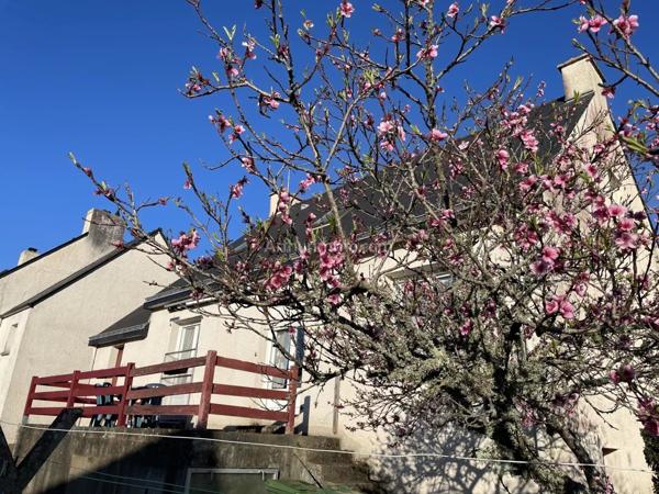 Vente Maison 6 pièces 113 m2 à La Trinité-sur-Mer