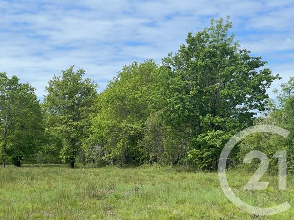 Terrain à vendre  5174 m 2   MONTPON MENESTEROL  - 24