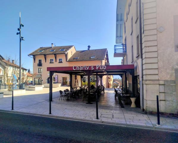 Commerce à vendre à Saint-Genis-Pouilly (01630) - Ain