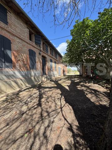 Superbe Toulousaine de Caractère du XIXe siècle